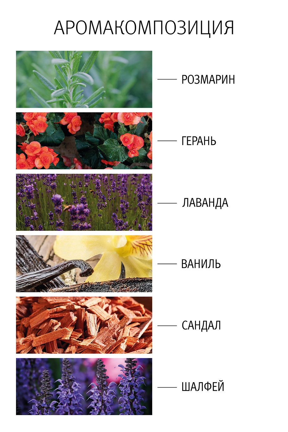 Легкий шампунь-эксфолиант изобр. 30271