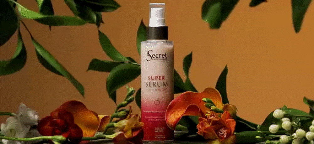 Secret Professionnel