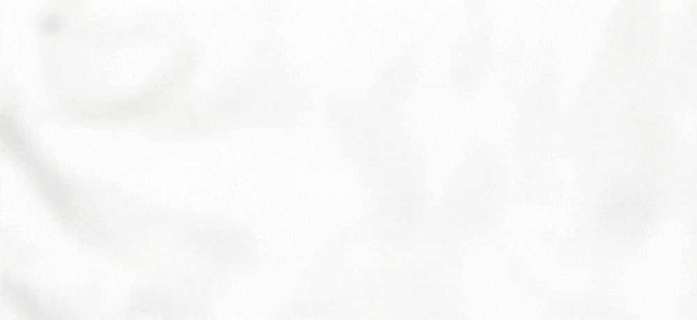 R+Co