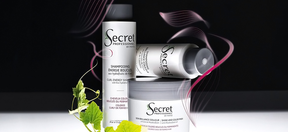 Secret Professionnel